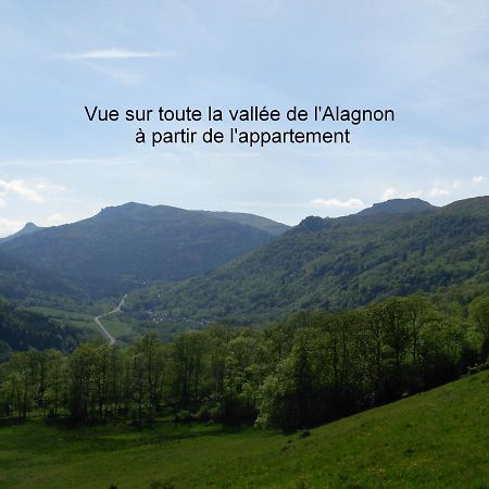 Vacances Au Pied Des Monts Du Cantal Laveissiere Экстерьер фото