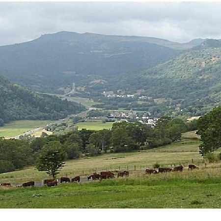 Vacances Au Pied Des Monts Du Cantal Laveissiere Экстерьер фото