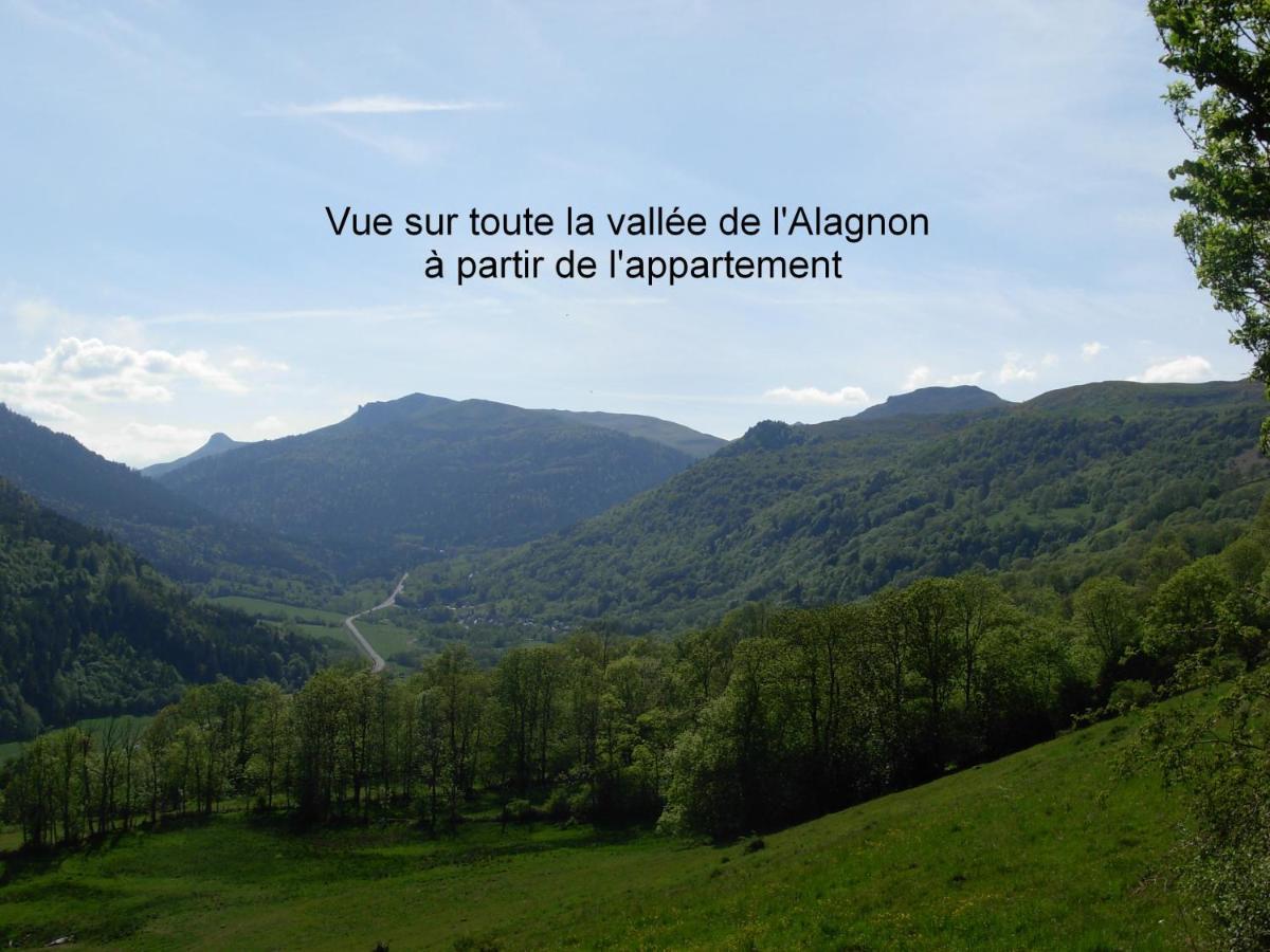 Vacances Au Pied Des Monts Du Cantal Laveissiere Экстерьер фото