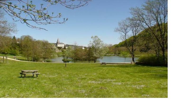 Vacances Au Pied Des Monts Du Cantal Laveissiere Экстерьер фото
