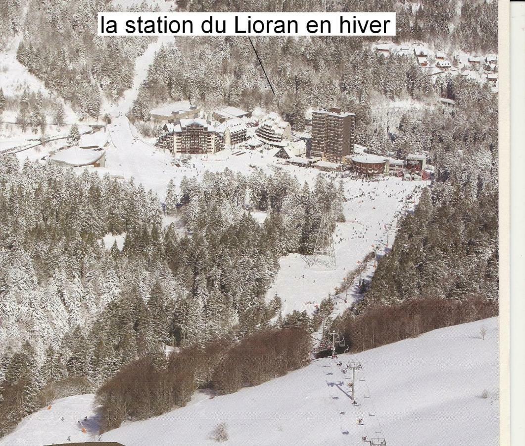 Vacances Au Pied Des Monts Du Cantal Laveissiere Экстерьер фото