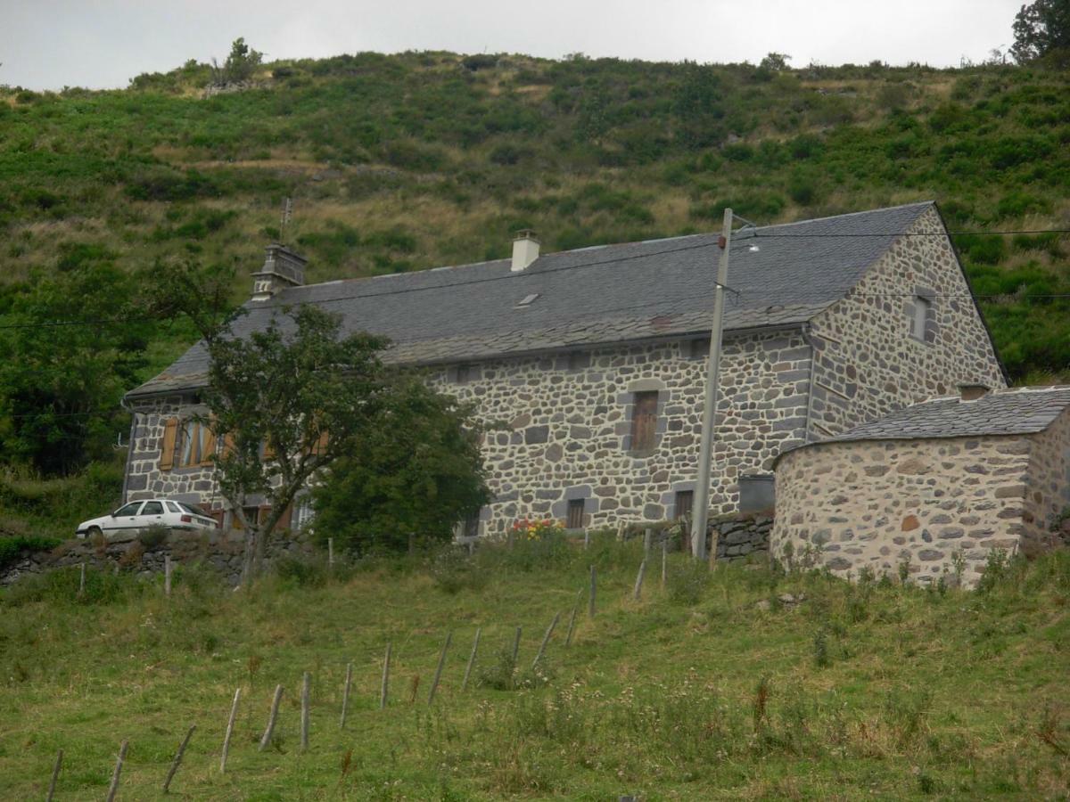 Vacances Au Pied Des Monts Du Cantal Laveissiere Экстерьер фото